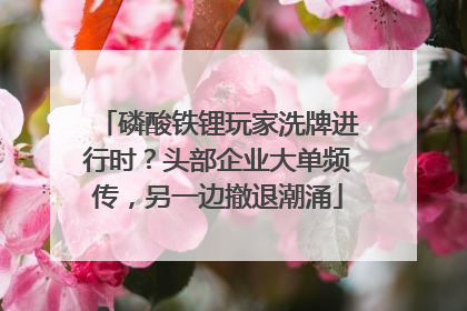 磷酸铁锂玩家洗牌进行时？头部企业大单频传，另一边撤退潮涌
