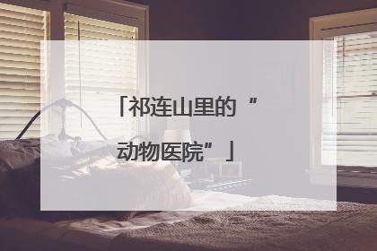 祁连山里的“动物医院”