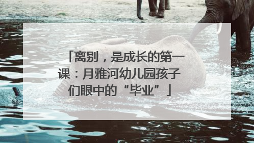 离别，是成长的第一课：月雅河幼儿园孩子们眼中的“毕业”