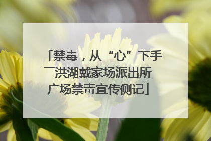 禁毒，从“心”下手――洪湖戴家场派出所广场禁毒宣传侧记