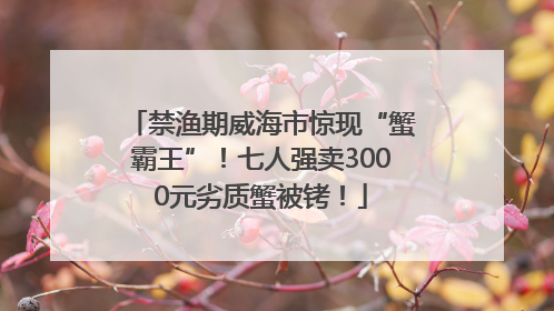 禁渔期威海市惊现“蟹霸王”！七人强卖3000元劣质蟹被铐！
