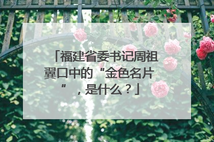 福建省委书记周祖翼口中的“金色名片”，是什么？