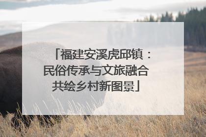 福建安溪虎邱镇：民俗传承与文旅融合共绘乡村新图景