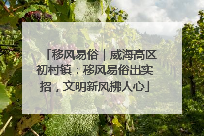 移风易俗｜威海高区初村镇：移风易俗出实招，文明新风拂人心