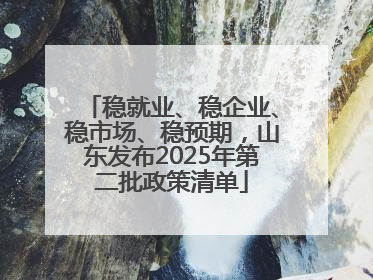 稳就业、稳企业、稳市场、稳预期，山东发布2025年第二批政策清单