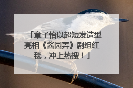 章子怡以超短发造型亮相《酱园弄》剧组红毯，冲上热搜！