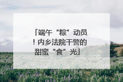 端午“粽”动员！内乡法院干警的甜蜜“食”光