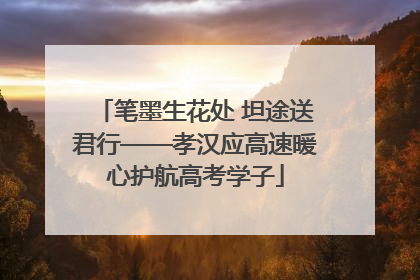 笔墨生花处 坦途送君行——孝汉应高速暖心护航高考学子
