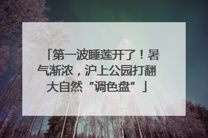 第一波睡莲开了！暑气渐浓，沪上公园打翻大自然“调色盘”