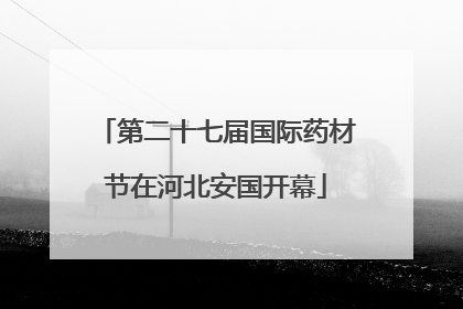 第二十七届国际药材节在河北安国开幕