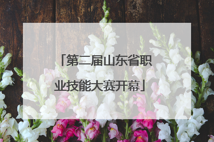 第二届山东省职业技能大赛开幕