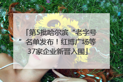 第5批哈尔滨“老字号”名单发布！红博广场等37家企业新晋入围
