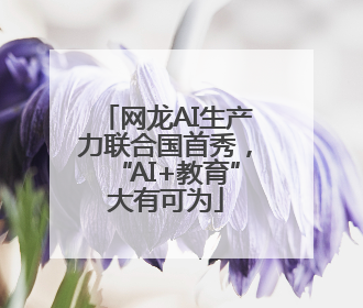 网龙AI生产力联合国首秀，“AI+教育”大有可为