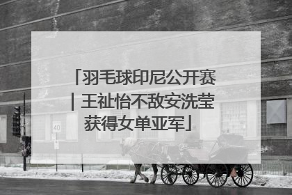 羽毛球印尼公开赛｜王祉怡不敌安洗莹 获得女单亚军