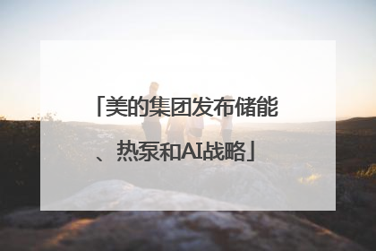 美的集团发布储能、热泵和AI战略