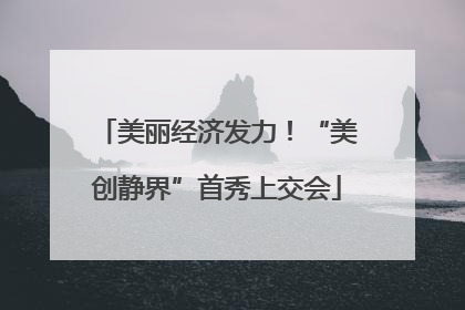 美丽经济发力！“美创静界”首秀上交会
