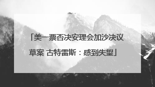 美一票否决安理会加沙决议草案 古特雷斯：感到失望