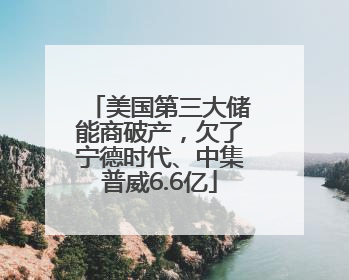 美国第三大储能商破产，欠了宁德时代、中集普威6.6亿