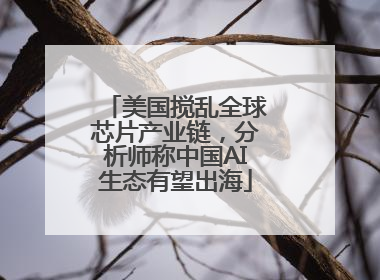 美国搅乱全球芯片产业链，分析师称中国AI生态有望出海