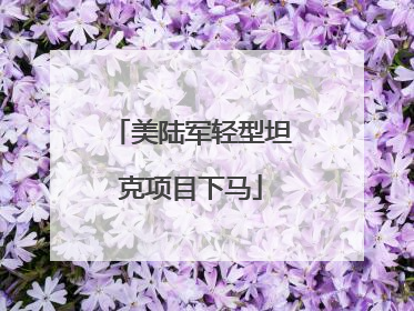 美陆军轻型坦克项目下马