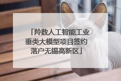 羚数人工智能工业垂类大模型项目签约落户无锡高新区