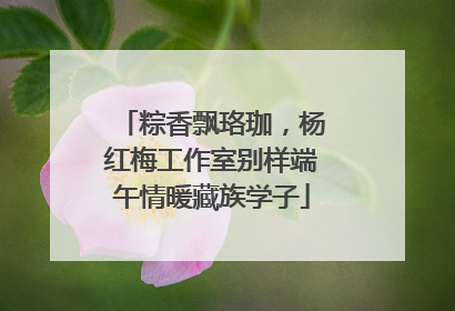 粽香飘珞珈，杨红梅工作室别样端午情暖藏族学子