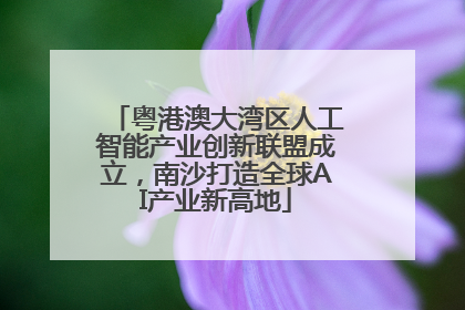 粤港澳大湾区人工智能产业创新联盟成立，南沙打造全球AI产业新高地