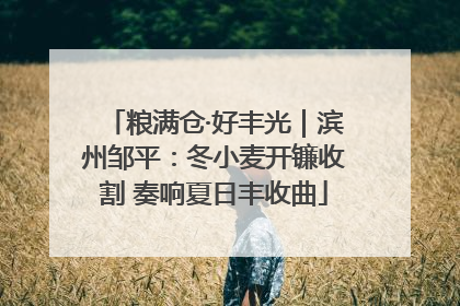 粮满仓·好丰光｜滨州邹平：冬小麦开镰收割 奏响夏日丰收曲