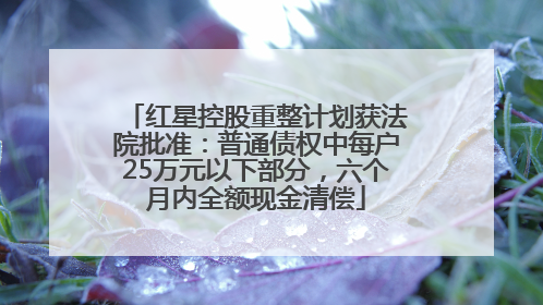 红星控股重整计划获法院批准：普通债权中每户25万元以下部分，六个月内全额现金清偿