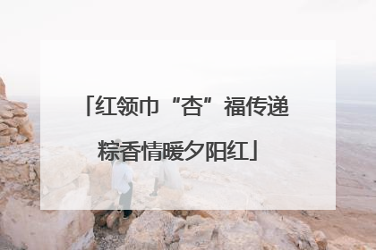 红领巾“杏”福传递 粽香情暖夕阳红