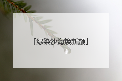 绿染沙海焕新颜