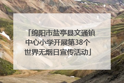 绵阳市盐亭县文通镇中心小学开展第38个世界无烟日宣传活动