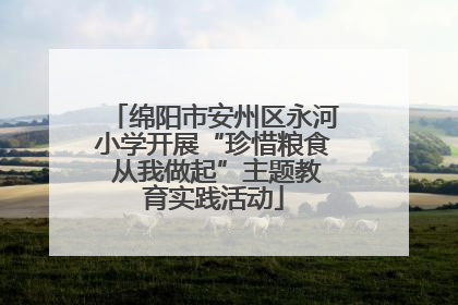 绵阳市安州区永河小学开展“珍惜粮食 从我做起”主题教育实践活动