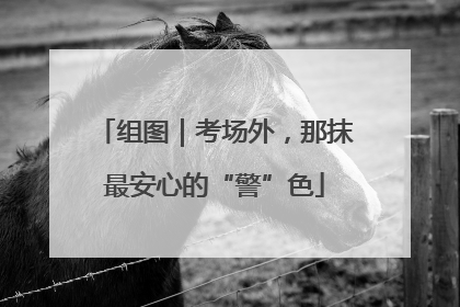 组图｜考场外，那抹最安心的“警”色