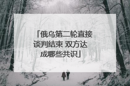 俄乌第二轮直接谈判结束 双方达成哪些共识
