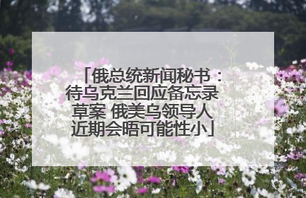 俄总统新闻秘书：待乌克兰回应备忘录草案 俄美乌领导人近期会晤可能性小