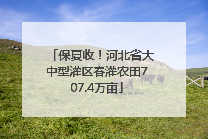 保夏收！河北省大中型灌区春灌农田707.4万亩