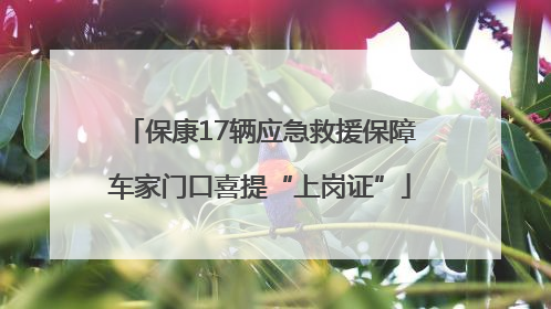 保康17辆应急救援保障车家门口喜提“上岗证”
