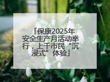 保康2025年安全生产月活动举行，上千市民“沉浸式”体验