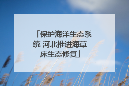保护海洋生态系统 河北推进海草床生态修复