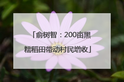 俞树智：200亩黑糯稻田带动村民增收