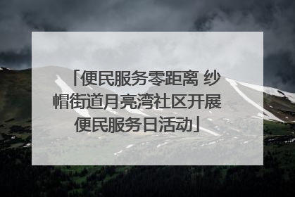 便民服务零距离 纱帽街道月亮湾社区开展便民服务日活动