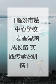 临汾市第一中心学校：麦香浸润成长路 实践传承农耕情