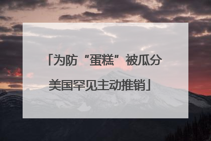 为防“蛋糕”被瓜分 美国罕见主动推销