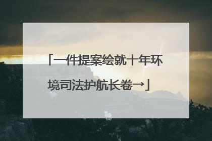 一件提案绘就十年环境司法护航长卷→
