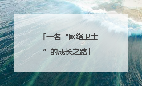 一名“网络卫士”的成长之路