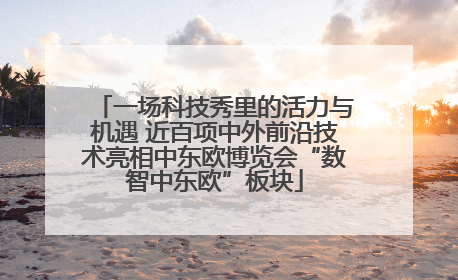一场科技秀里的活力与机遇 近百项中外前沿技术亮相中东欧博览会“数智中东欧”板块