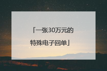 一张30万元的特殊电子回单
