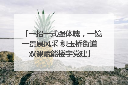 一招一式强体魄，一镜一景展风采 积玉桥街道双课赋能楼宇党建