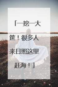 一挖一大筐！很多人来日照这里赶海！